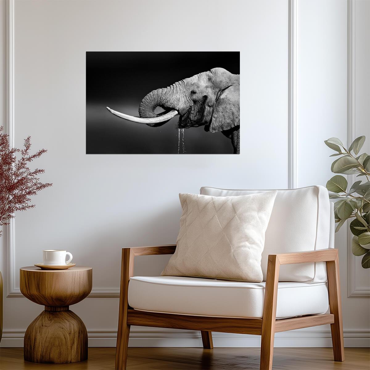 Elephant Bull Drinking Water | Black and White Wildlife Photography | Animal Poster - Photography Poster