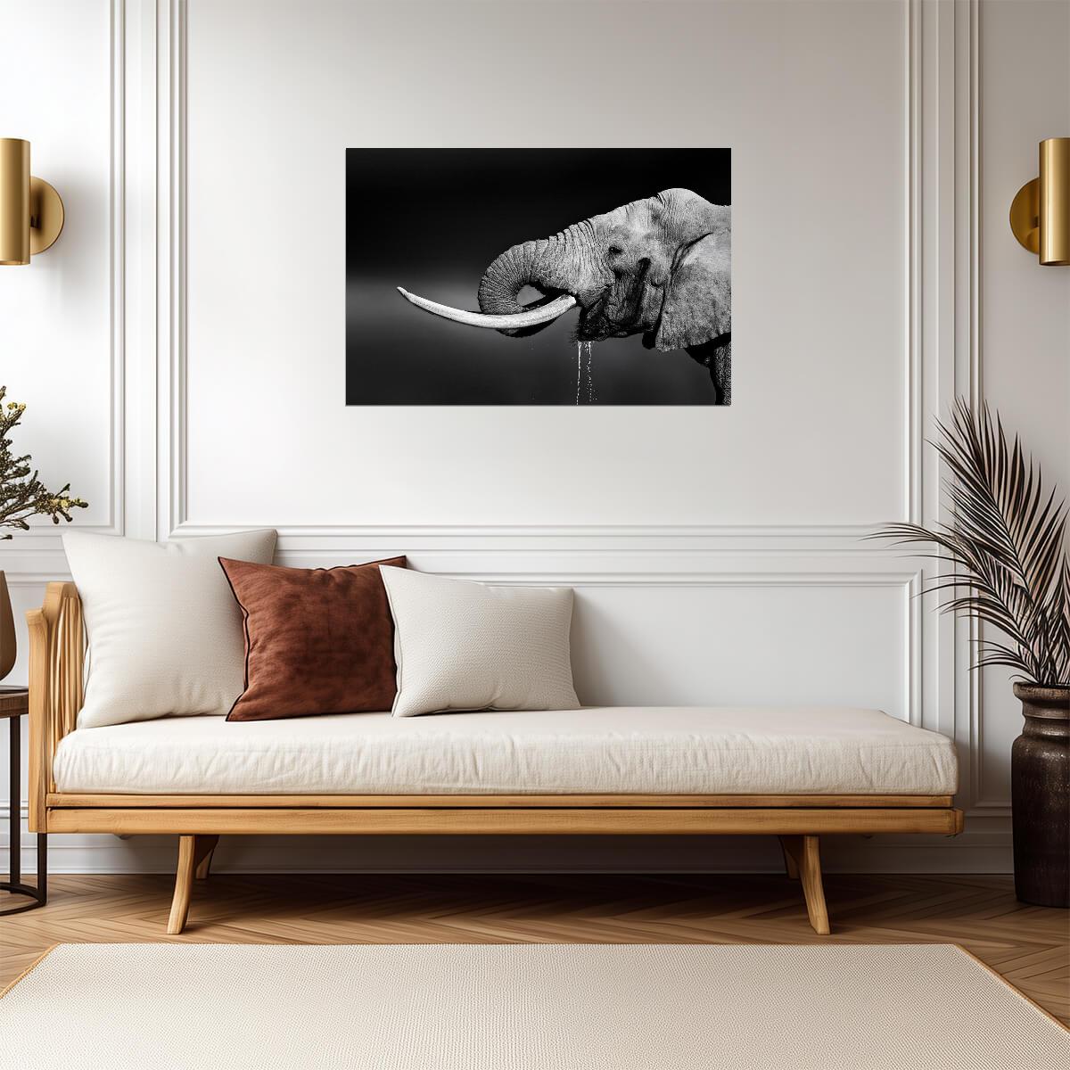 Elephant Bull Drinking Water | Black and White Wildlife Photography | Animal Poster - Photography Poster