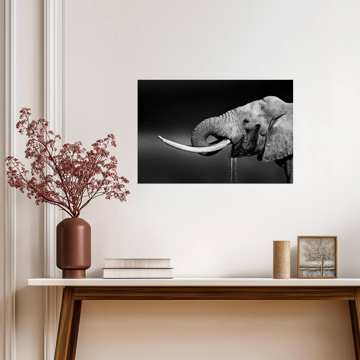 Elephant Bull Drinking Water | Black and White Wildlife Photography | Animal Poster - Photography Poster