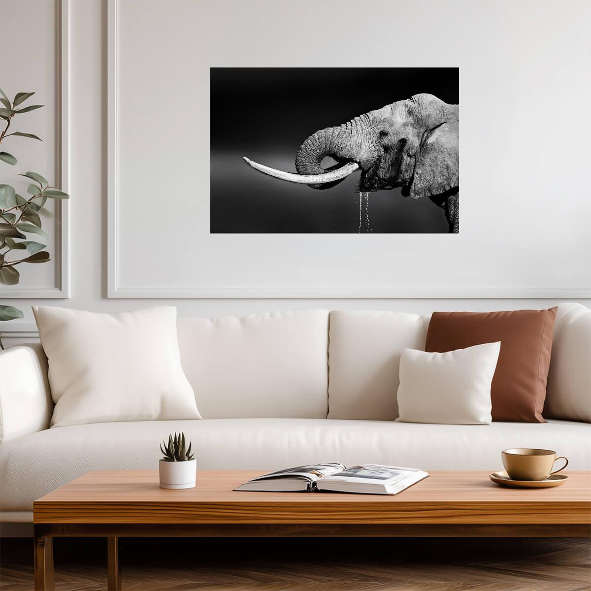 Elephant Bull Drinking Water | Black and White Wildlife Photography | Animal Poster - Photography Poster