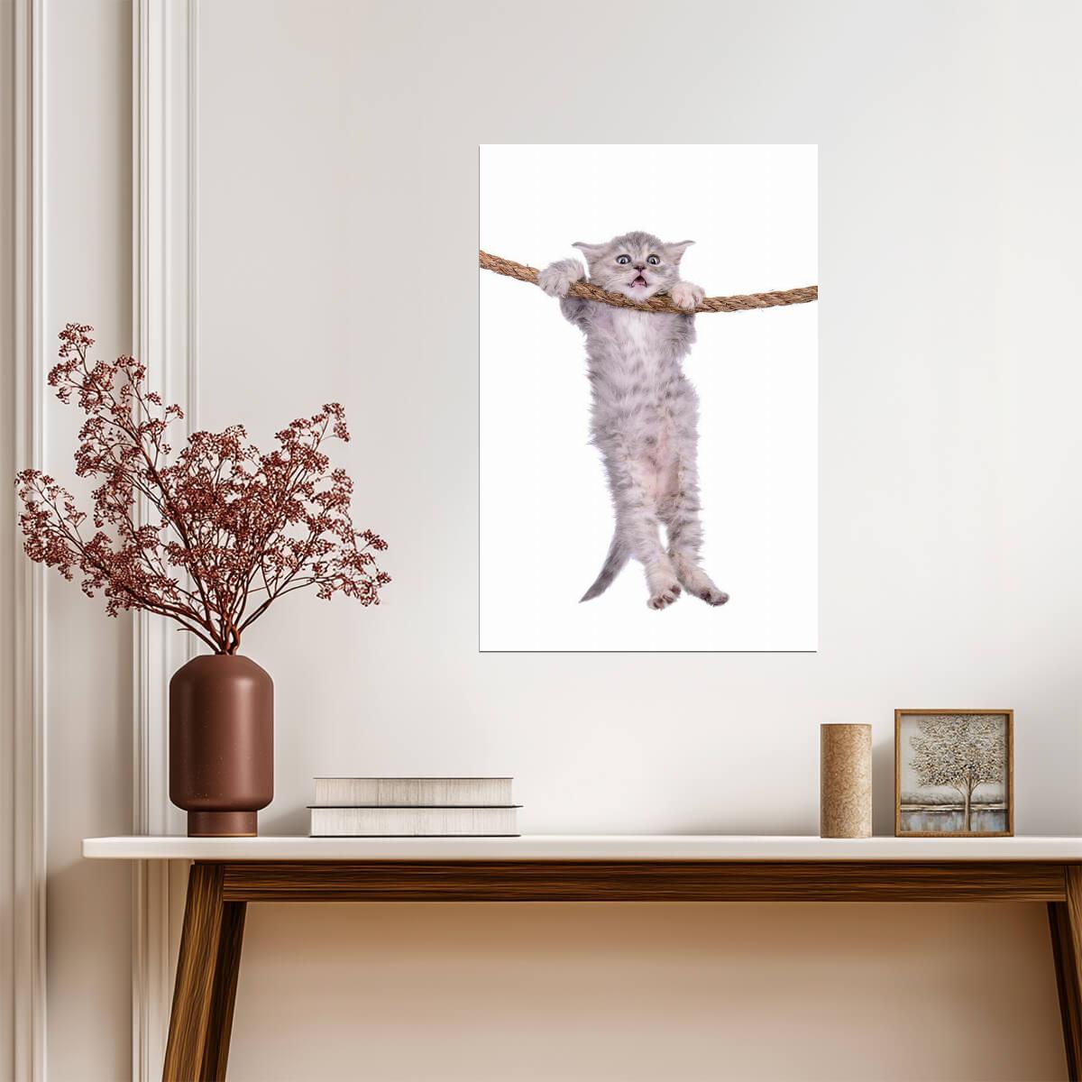 Kitten Hanging Onto a Rope | Inspirational "Hang in There" Style | Cute Animal Poster - Graphic & Art Poster