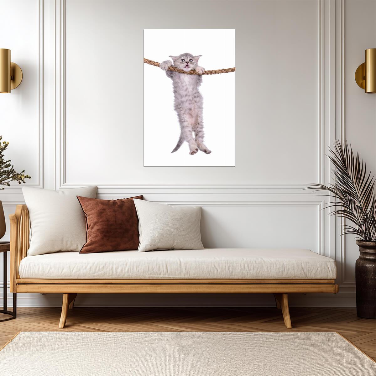 Kitten Hanging Onto a Rope | Inspirational "Hang in There" Style | Cute Animal Poster - Graphic & Art Poster