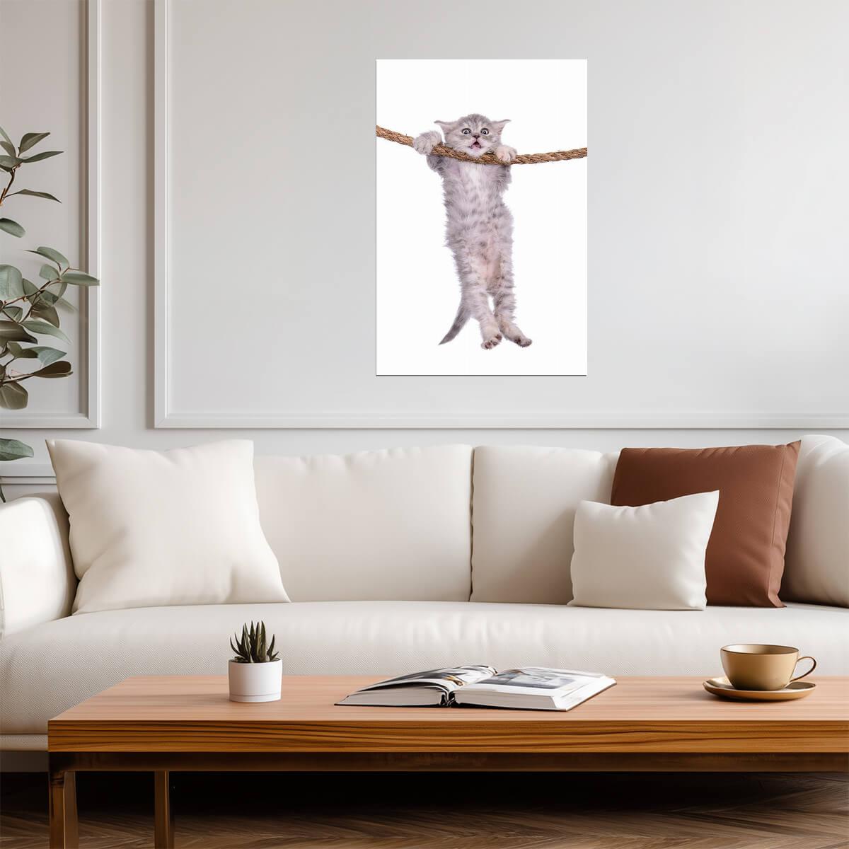 Kitten Hanging Onto a Rope | Inspirational "Hang in There" Style | Cute Animal Poster - Graphic & Art Poster