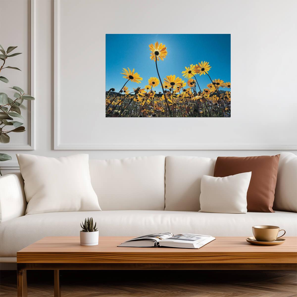 Wild Flowers in the Southern Namib Desert | South Africa Photography | Nature Poster - Photography Poster