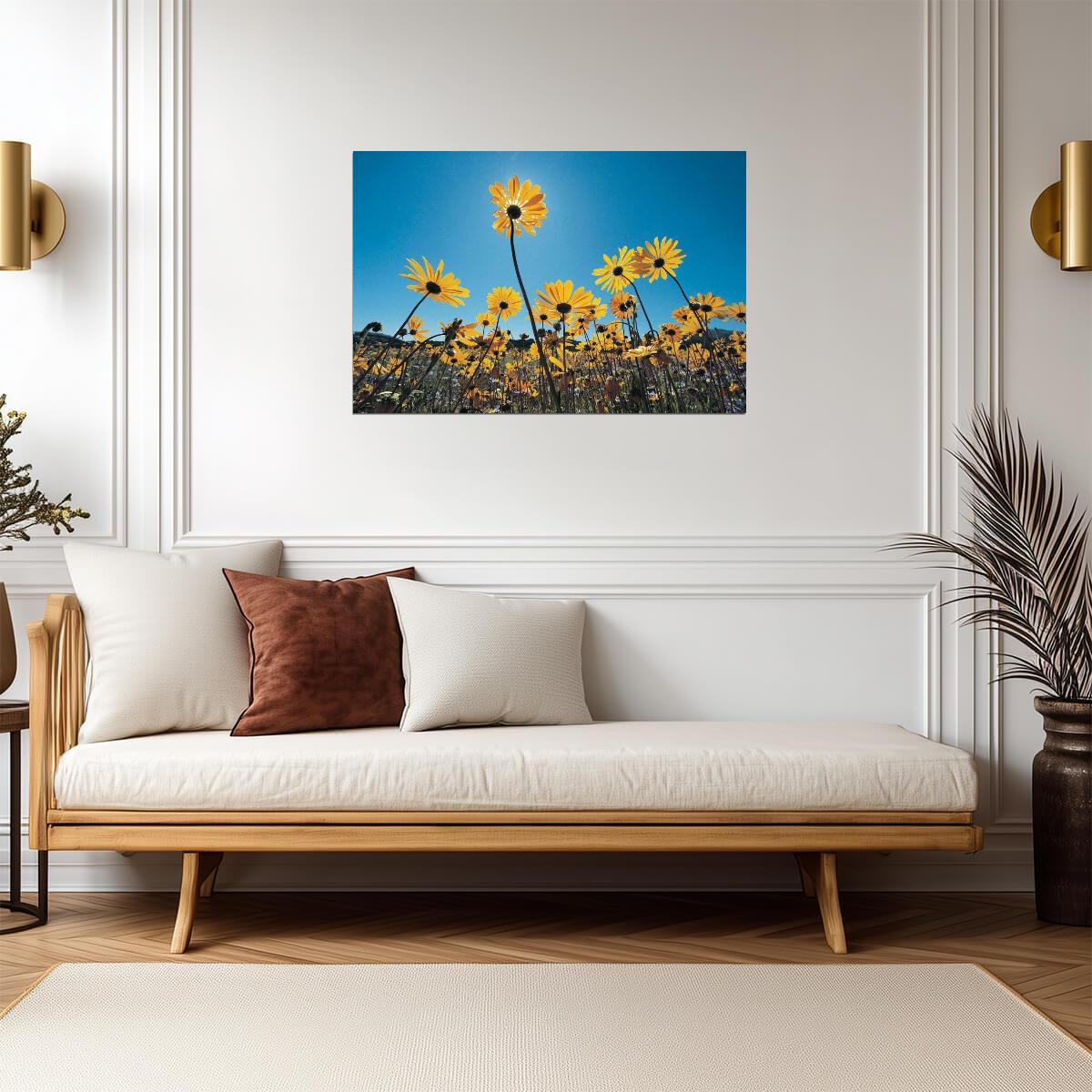 Wild Flowers in the Southern Namib Desert | South Africa Photography | Nature Poster - Photography Poster