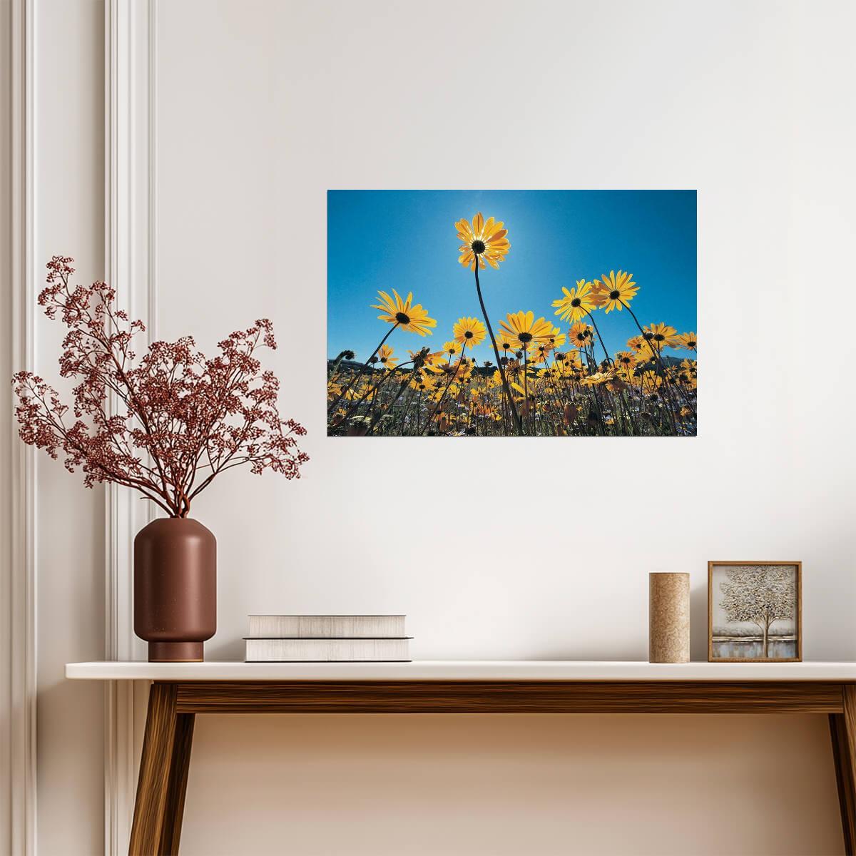 Wild Flowers in the Southern Namib Desert | South Africa Photography | Nature Poster - Photography Poster