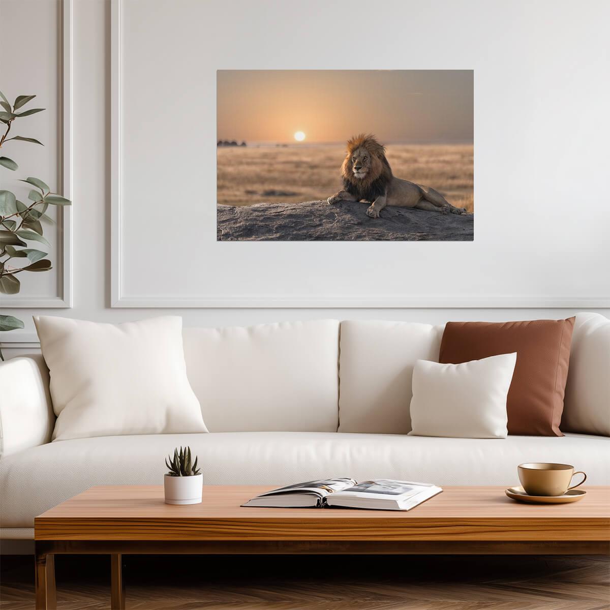 Male Lion Watching Over His Land | African Wildlife Photography | Safari Wall Art Poster - Photography Poster