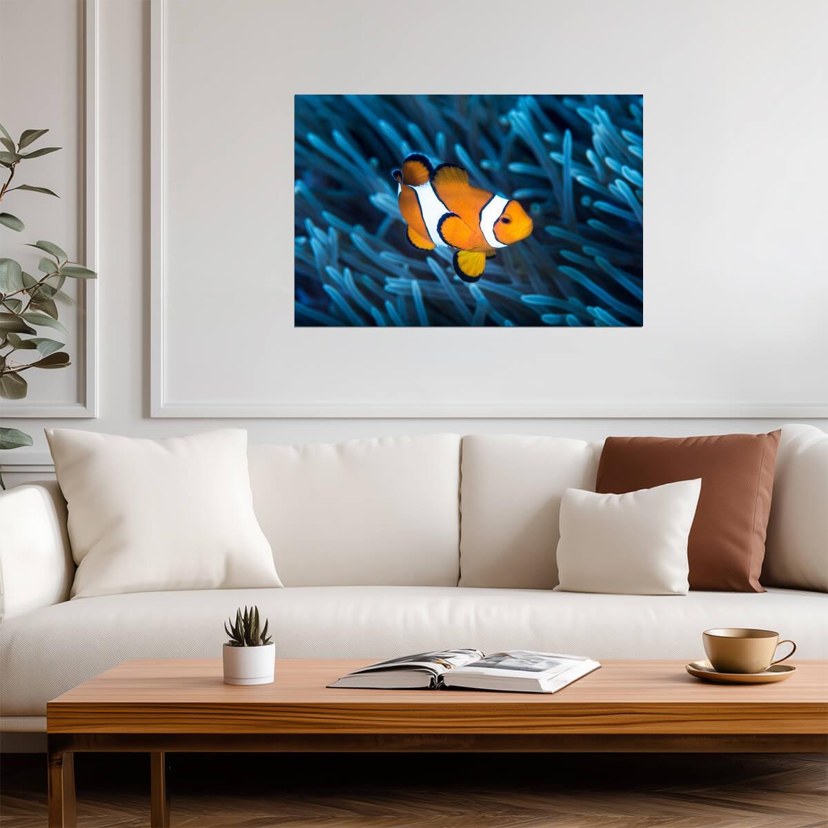 Ocellaris Clownfish in a Sea Anemone | Underwater Photography | Marine Life Poster - Photography Poster