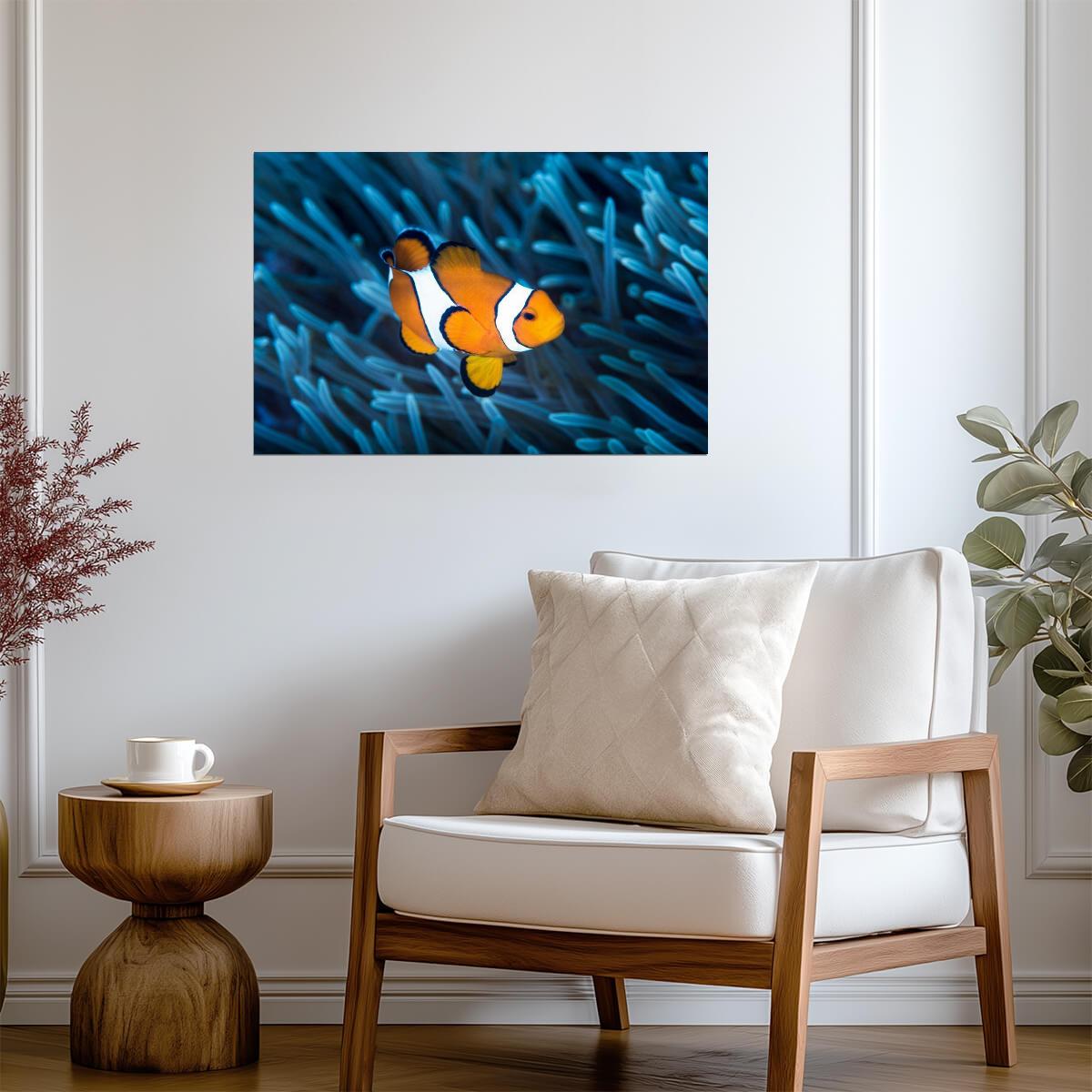 Ocellaris Clownfish in a Sea Anemone | Underwater Photography | Marine Life Poster - Photography Poster