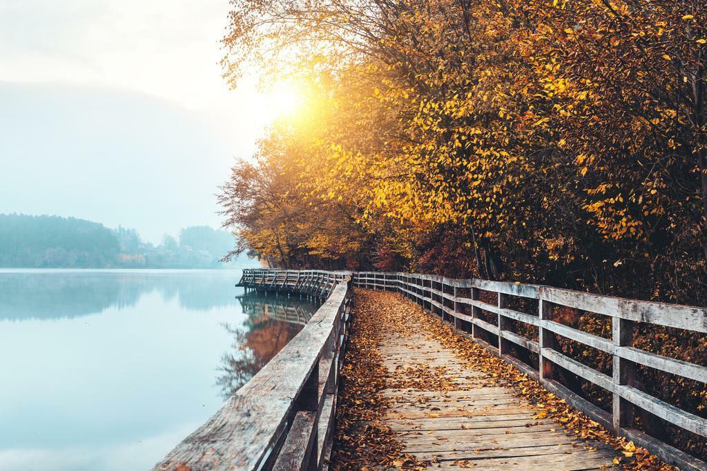 Autumn Lake Boardwalk Poster | Fall Landscape Photography | Nature Wall Art
