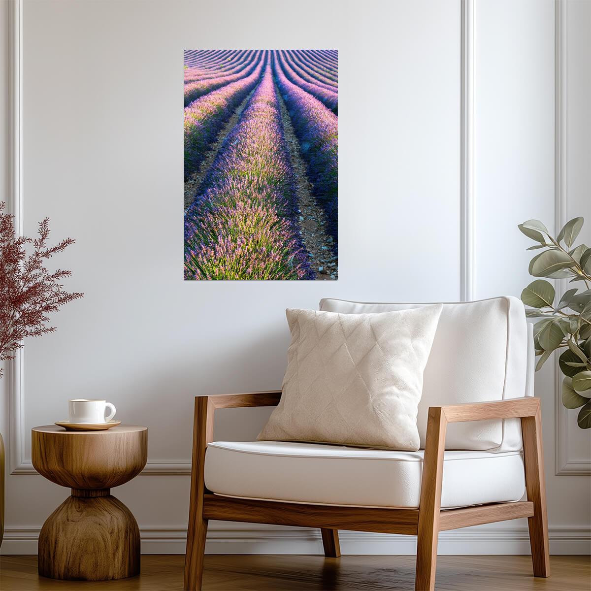 Lavender Field in Full Bloom | Provence France Photography | Floral Landscape Poster - Photography Poster