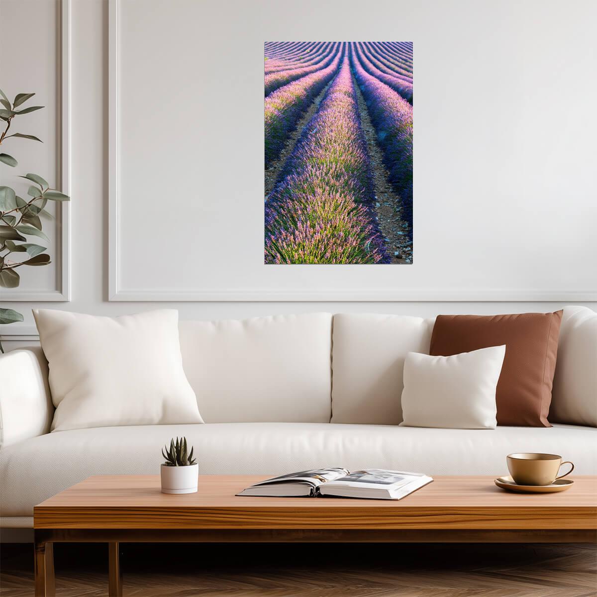 Lavender Field in Full Bloom | Provence France Photography | Floral Landscape Poster - Photography Poster
