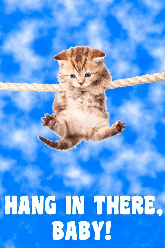 Hang in There, Baby | Retro Cat Motivational Poster