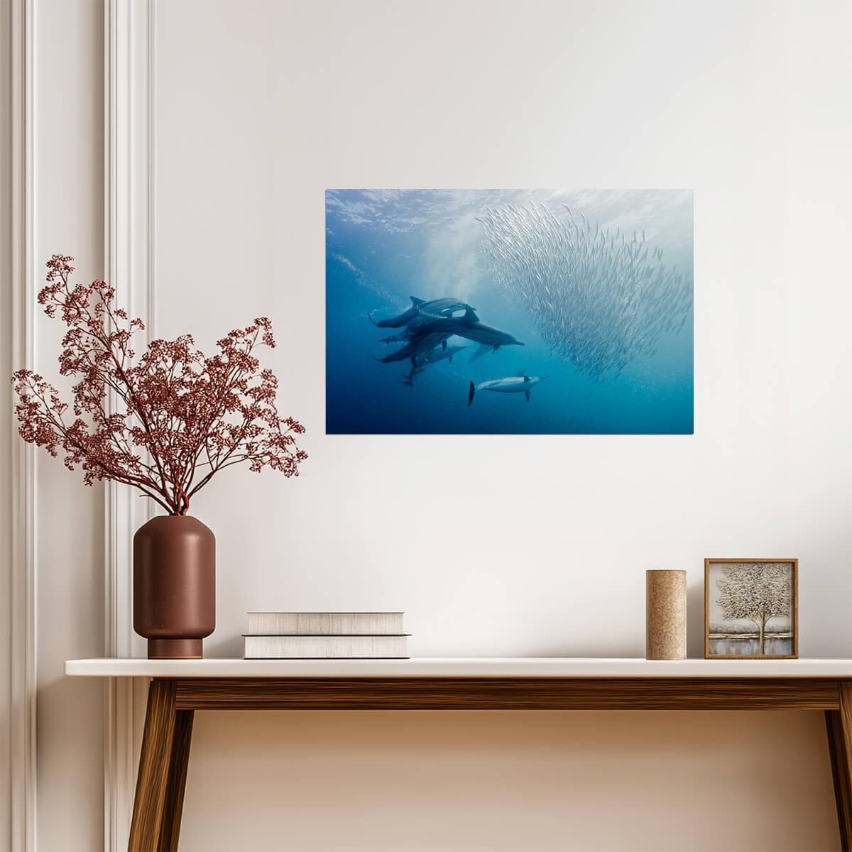 Dolphins Hunting a School of Sardines | Underwater Photography | Marine Wildlife Poster - Photography Poster