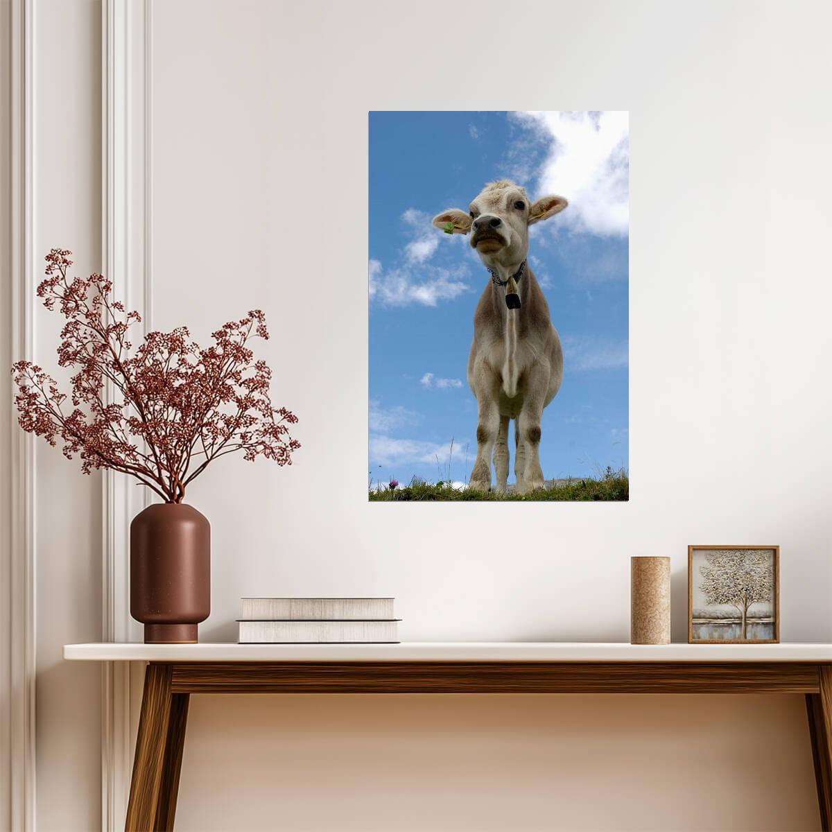 Cow Wearing a Bell Portrait | Farm Animal Photography | Rustic Decor Poster - Photography Poster