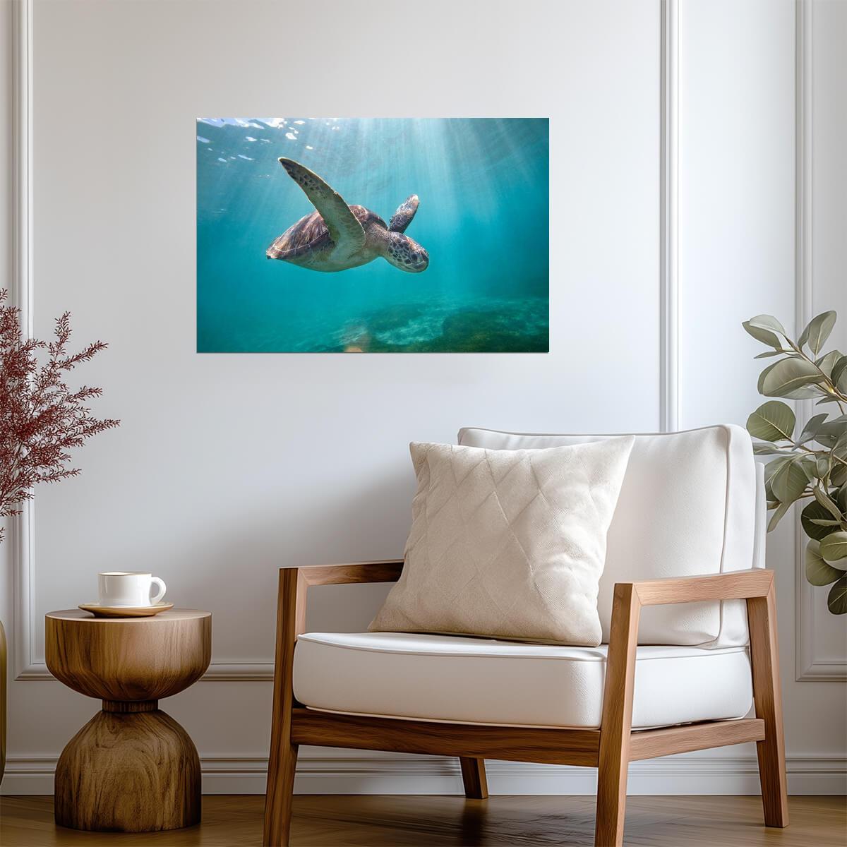 Green Sea Turtle Swimming Through Sun Rays | Underwater Photography | Marine Life Poster - Photography Poster