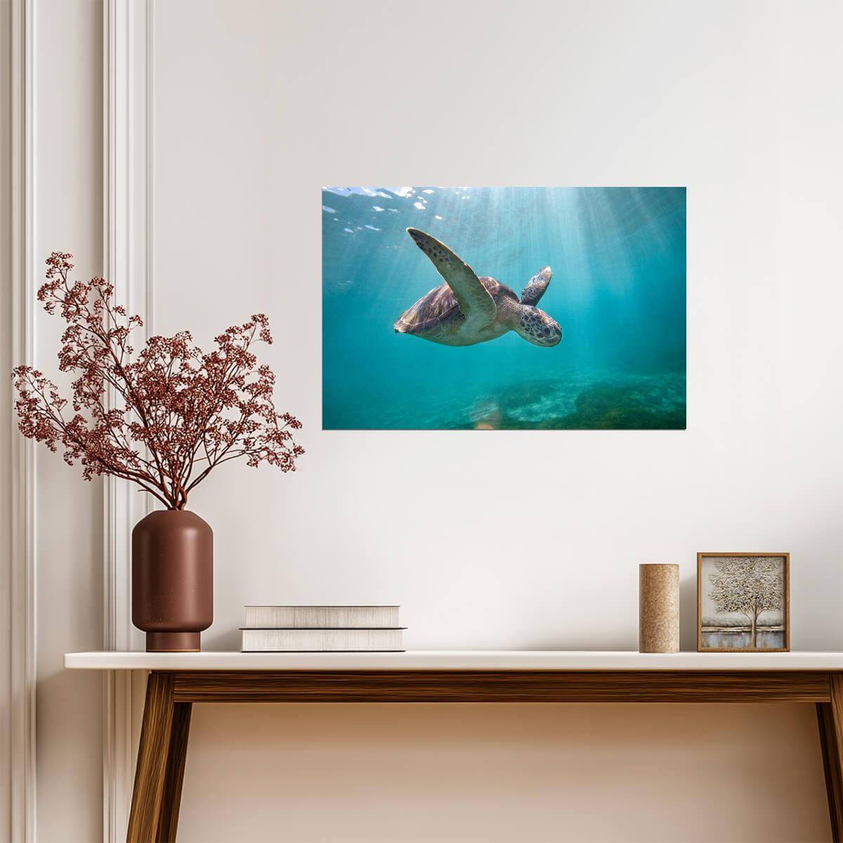 Green Sea Turtle Swimming Through Sun Rays | Underwater Photography | Marine Life Poster - Photography Poster
