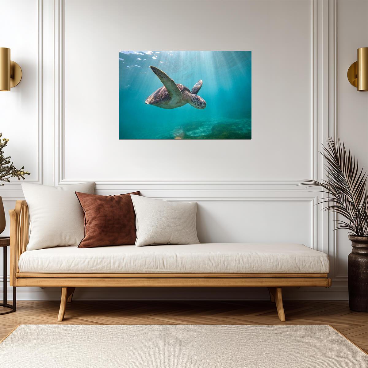 Green Sea Turtle Swimming Through Sun Rays | Underwater Photography | Marine Life Poster - Photography Poster