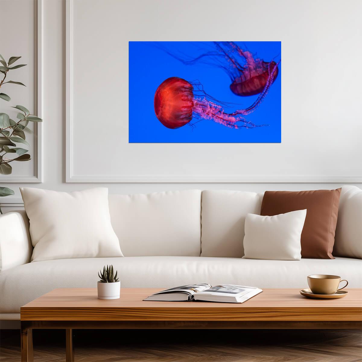 Graceful Jellyfish Swimming Underwater | Marine Life Photography | Ocean Poster - Photography Poster
