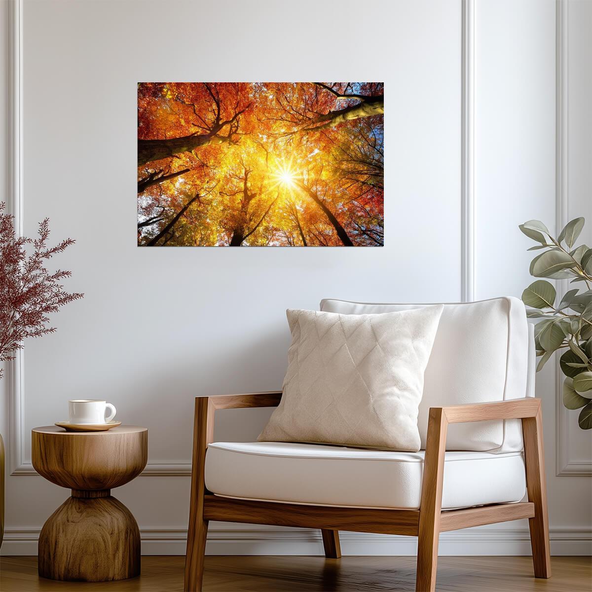 Autumn Sun Shining Through a Tree Canopy | Nature Photography | Forest Poster - Photography Poster