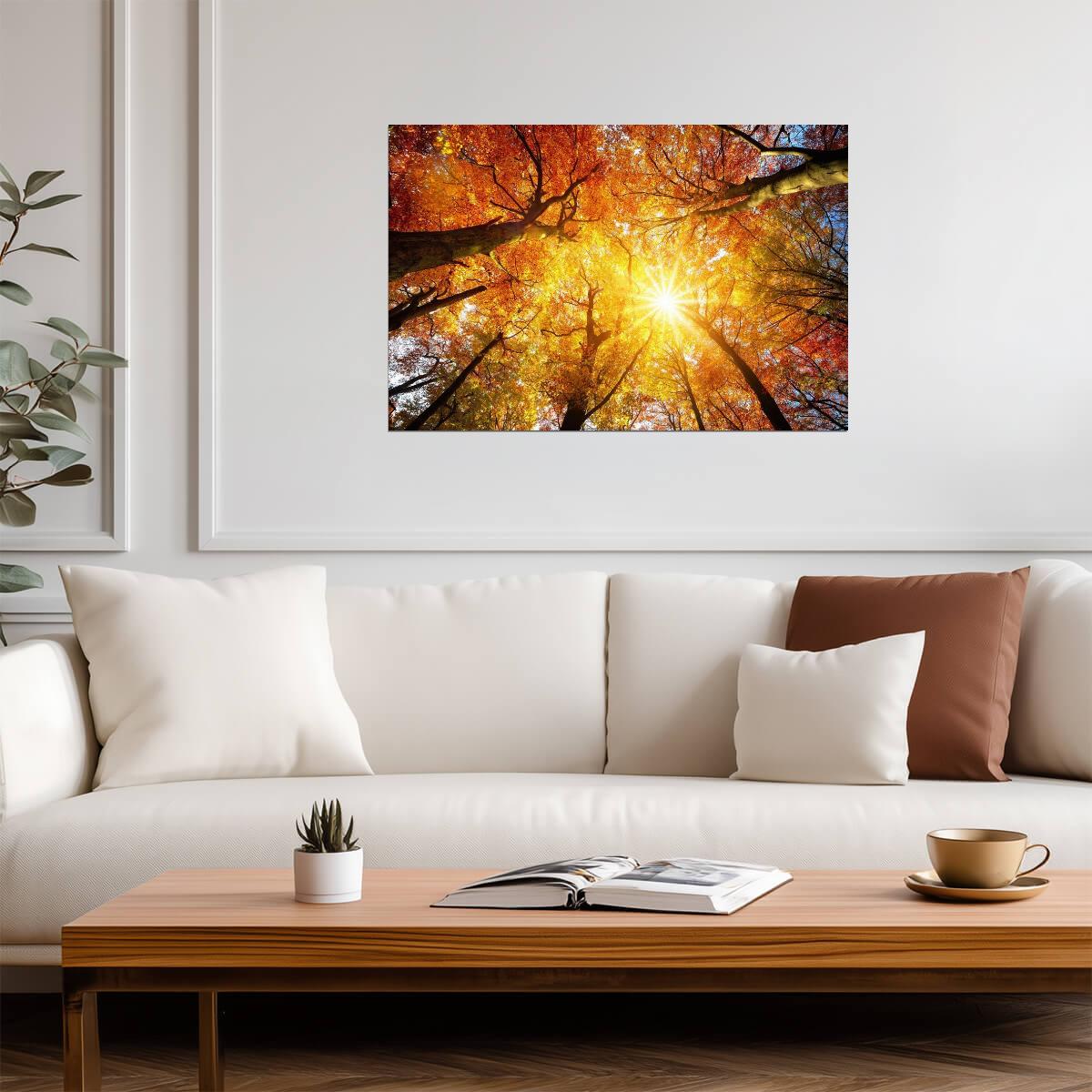 Autumn Sun Shining Through a Tree Canopy | Nature Photography | Forest Poster - Photography Poster