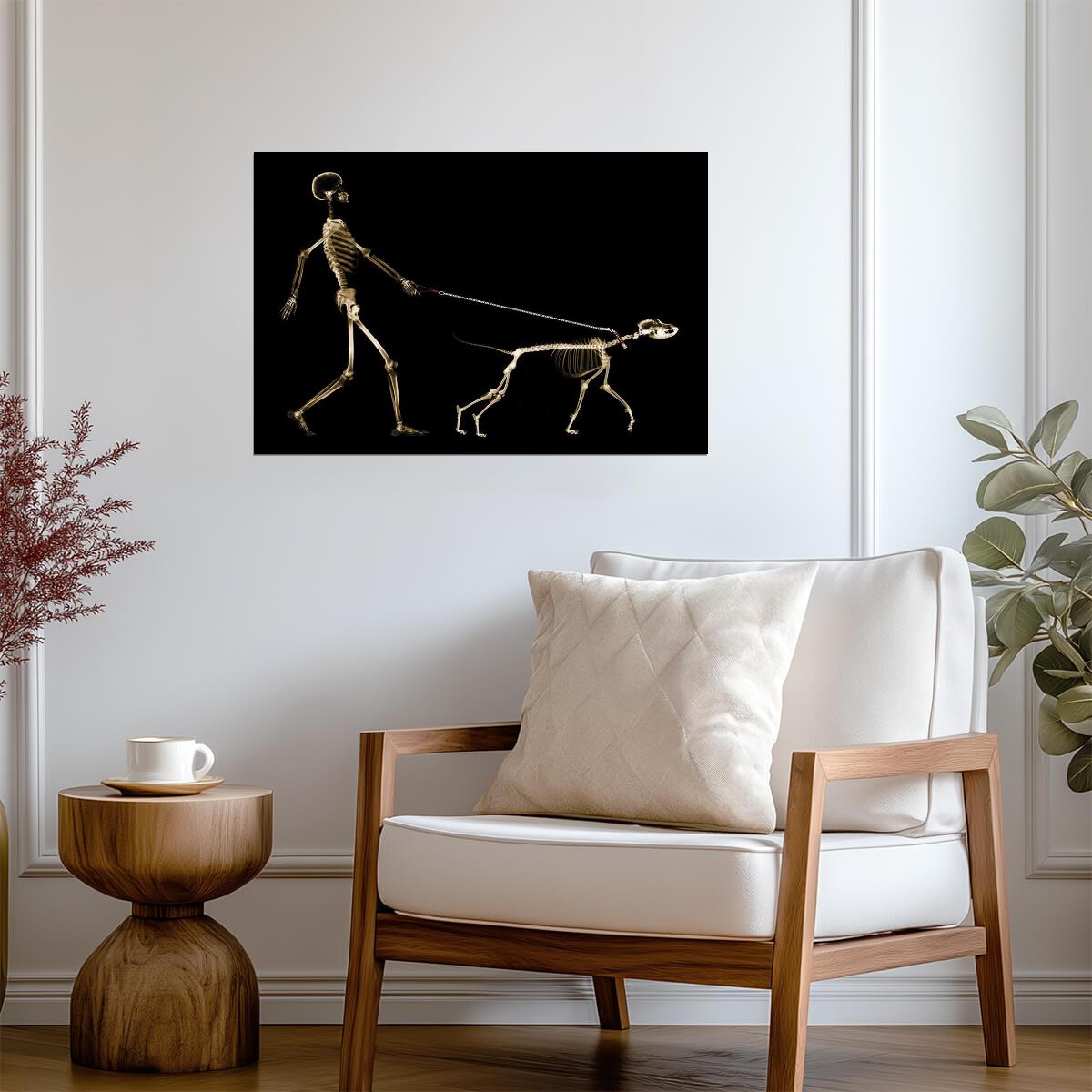 X-Ray of a Dog Pulling its Owner on a Leash | Funny Graphic Art Print | Humorous Pet Poster - Graphic & Art Poster