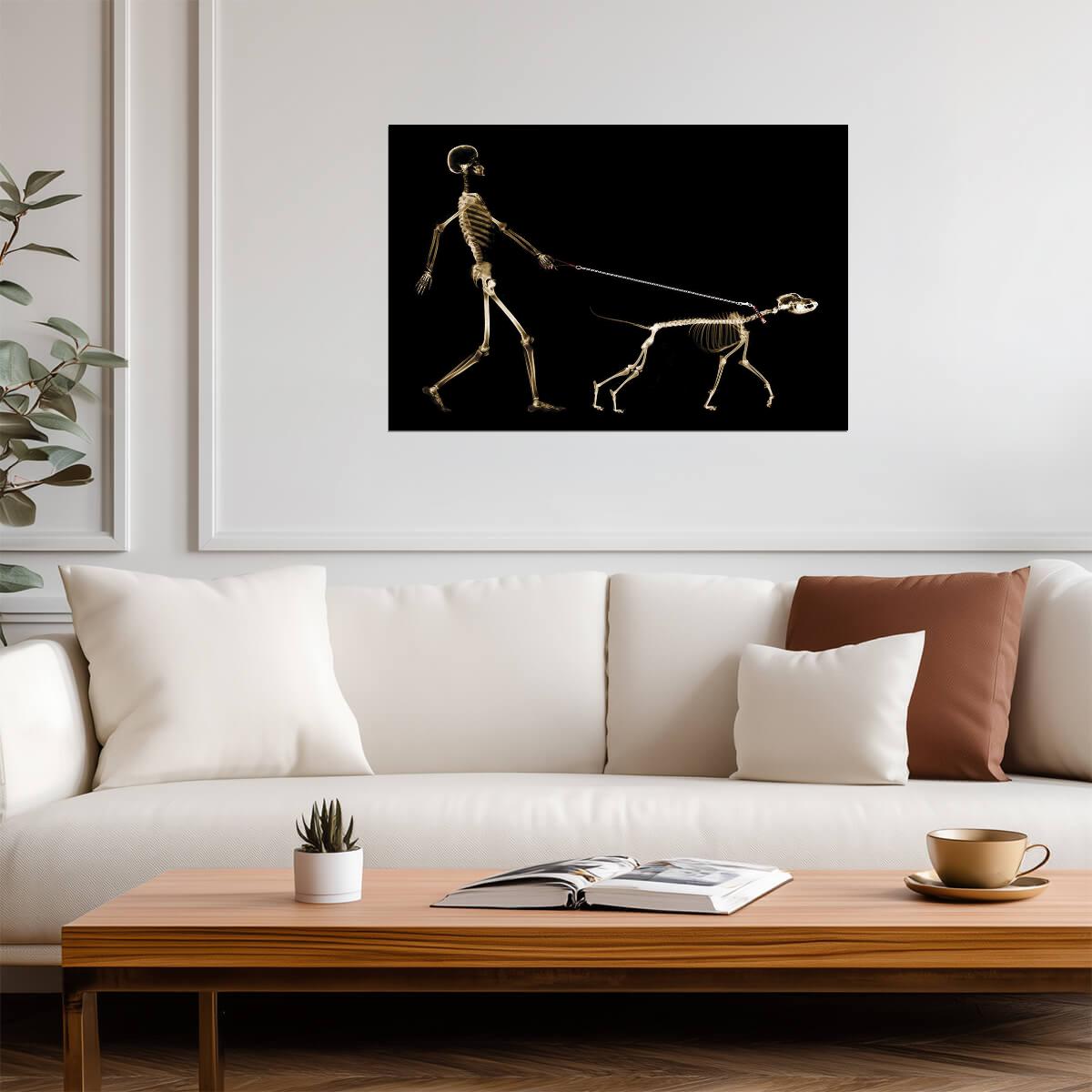 X-Ray of a Dog Pulling its Owner on a Leash | Funny Graphic Art Print | Humorous Pet Poster - Graphic & Art Poster