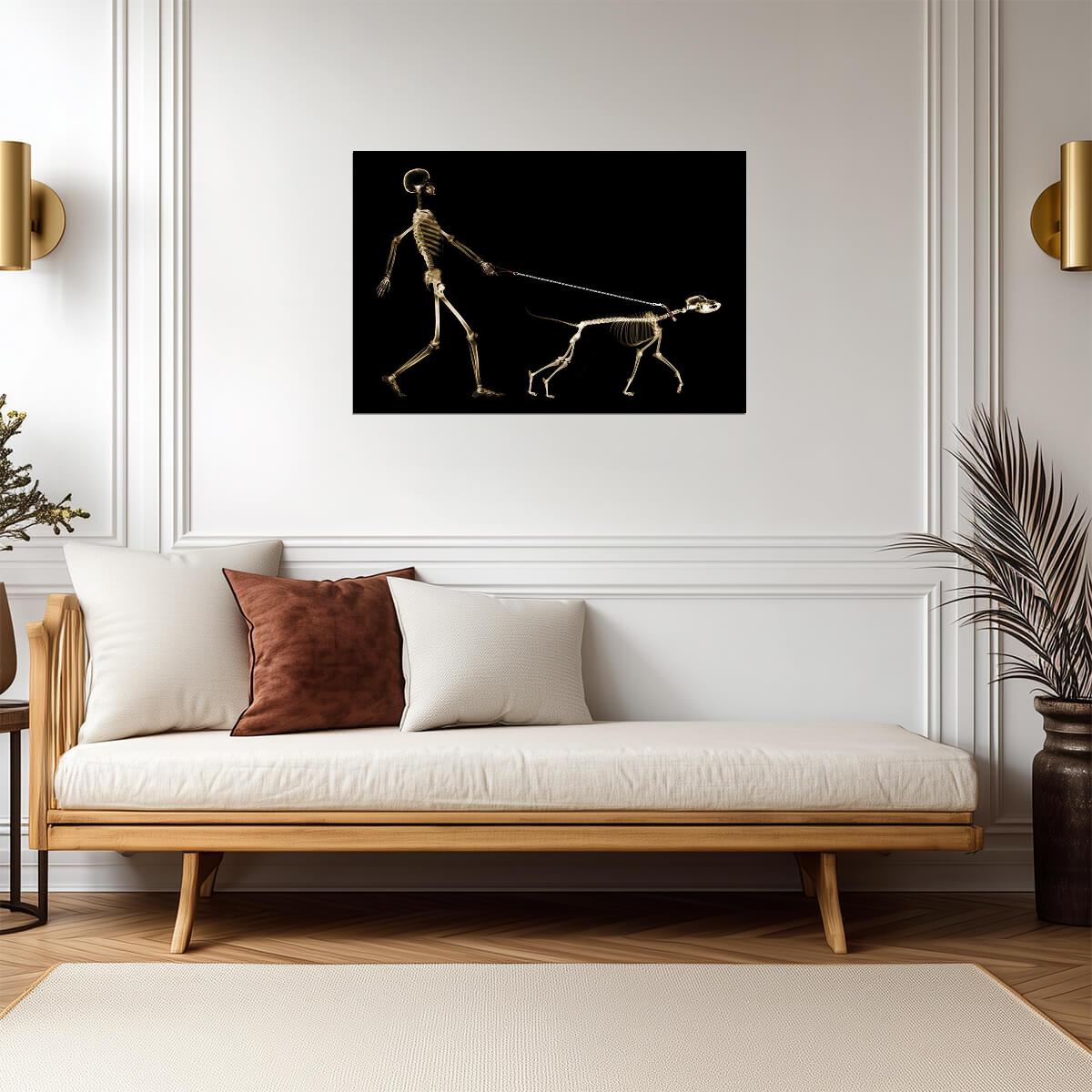 X-Ray of a Dog Pulling its Owner on a Leash | Funny Graphic Art Print | Humorous Pet Poster - Graphic & Art Poster