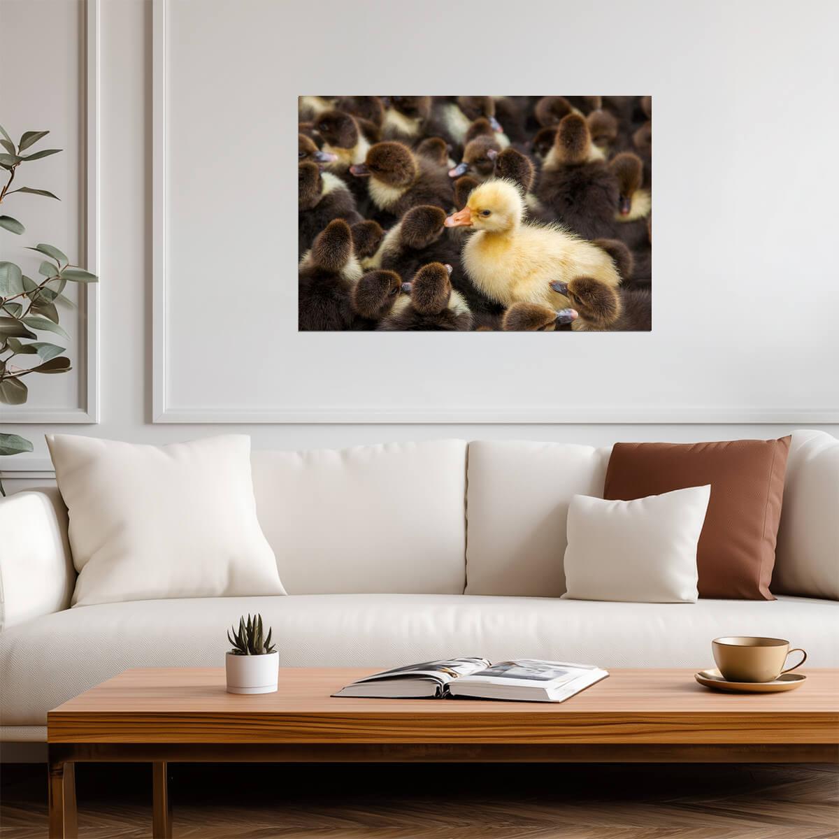 Yellow Duck in a Crowd of Brown Ducks | "Stand Out" Concept Photography | Motivational Poster - Photography Poster
