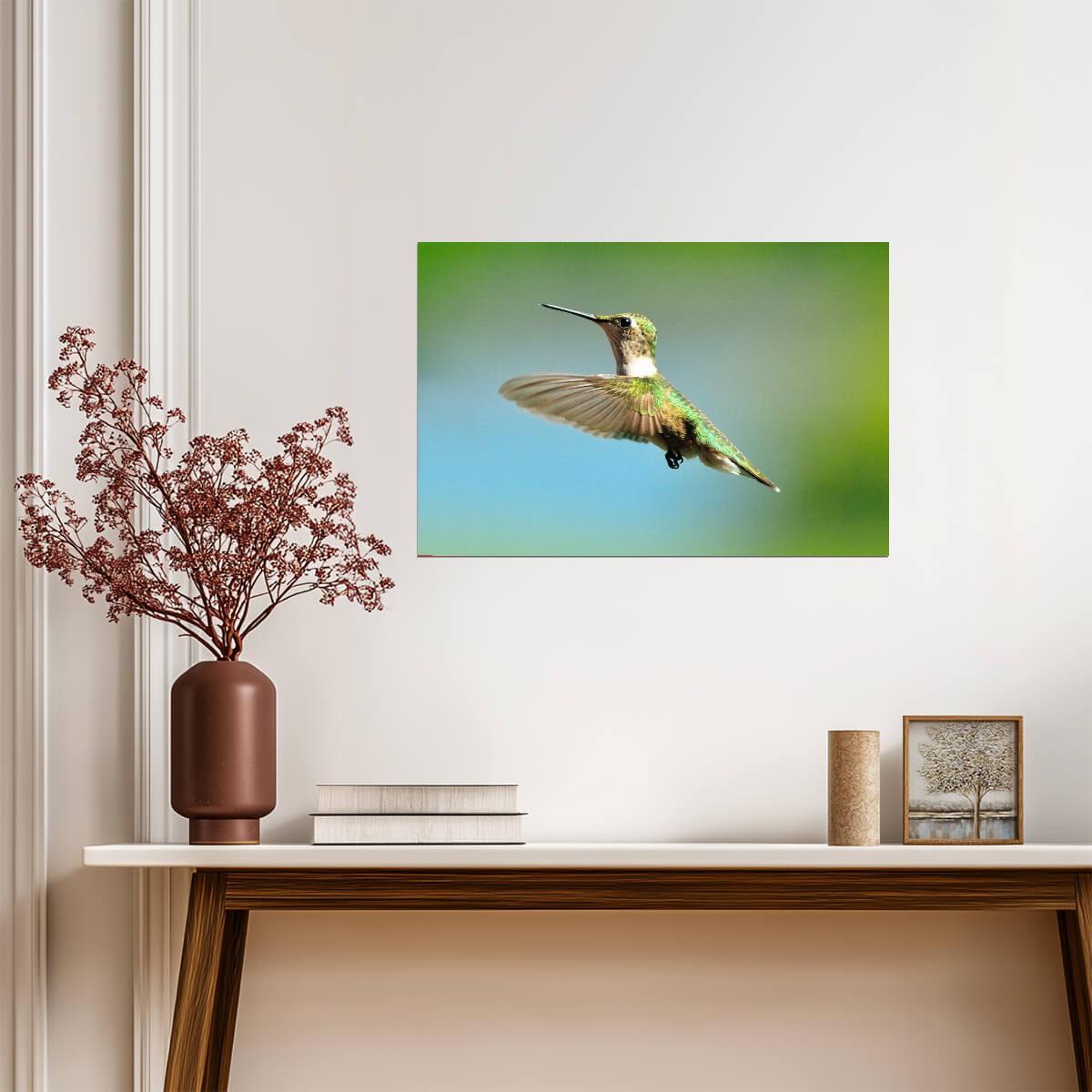 Ruby-Throated Hummingbird in Flight | Bird Photography Print | Wildlife Poster - Photography Poster