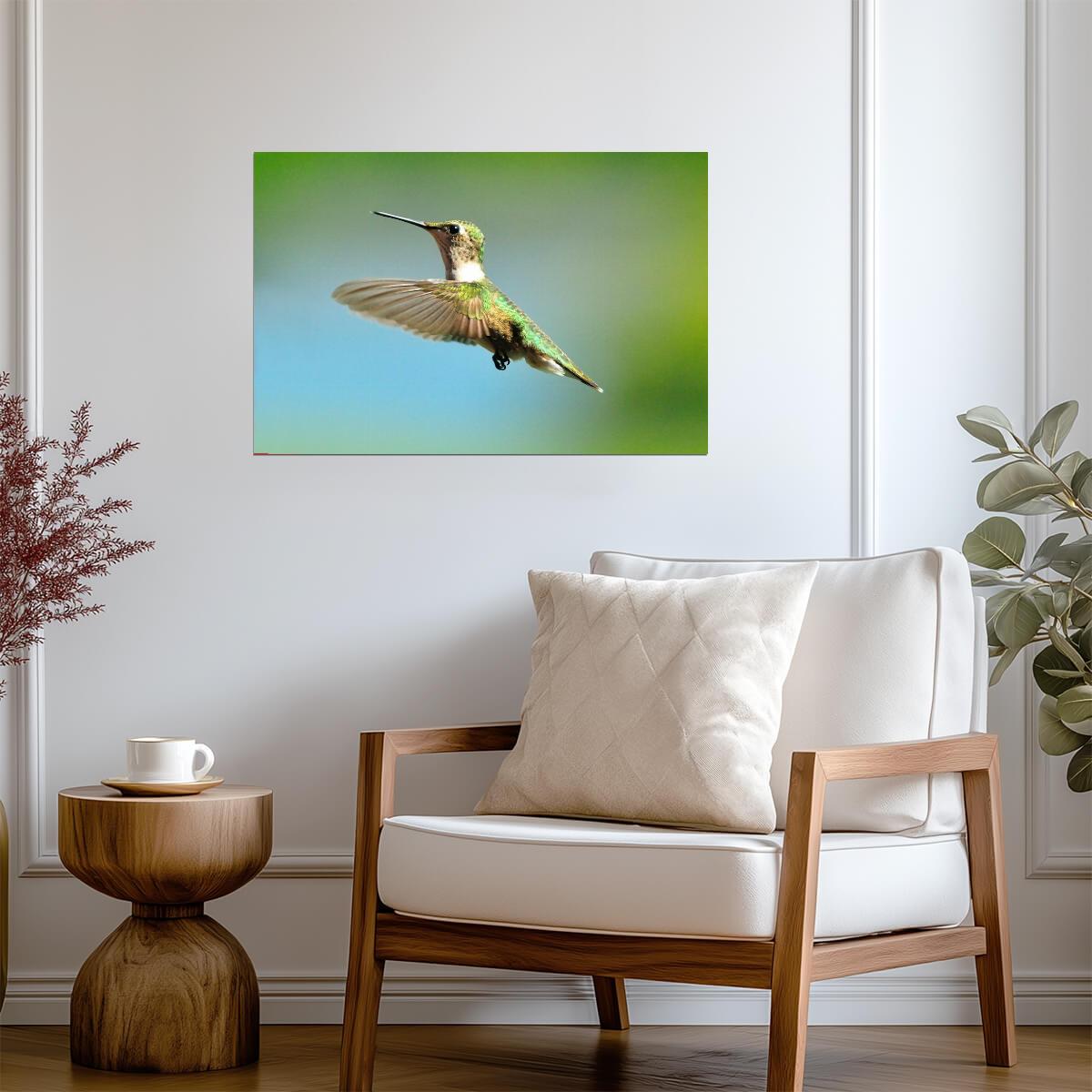 Ruby-Throated Hummingbird in Flight | Bird Photography Print | Wildlife Poster - Photography Poster
