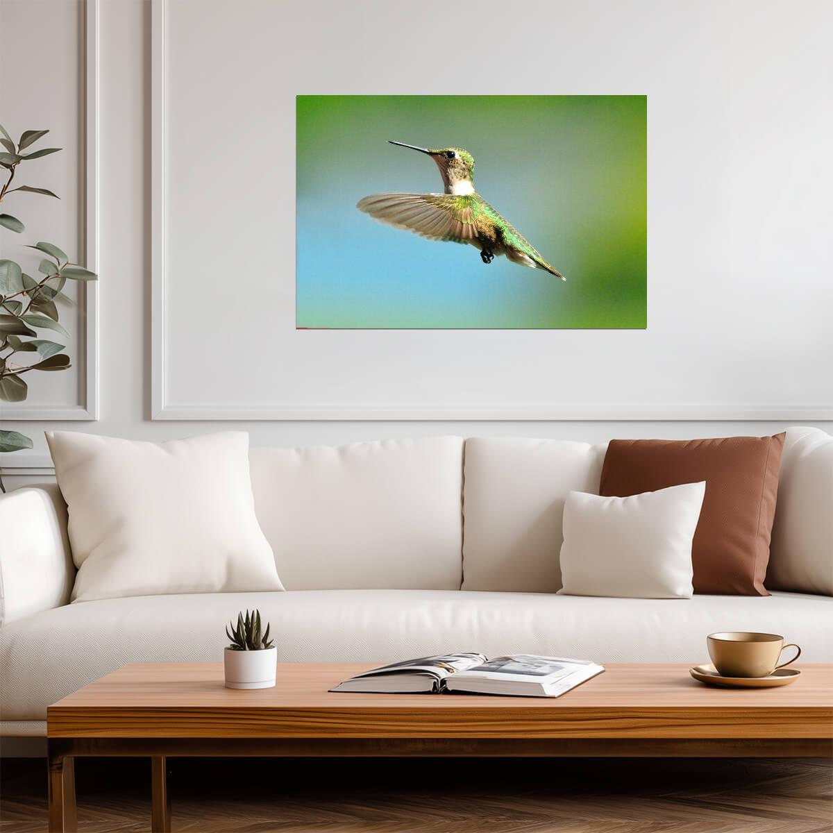 Ruby-Throated Hummingbird in Flight | Bird Photography Print | Wildlife Poster - Photography Poster