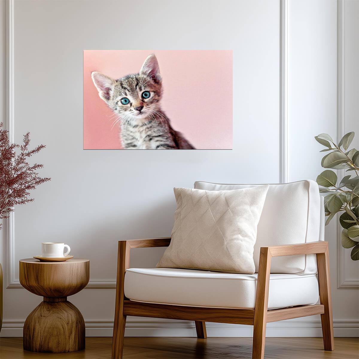 Cute Baby Kitten Posing for the Camera | Pet Photography Portrait | Cat Poster - Photography Poster