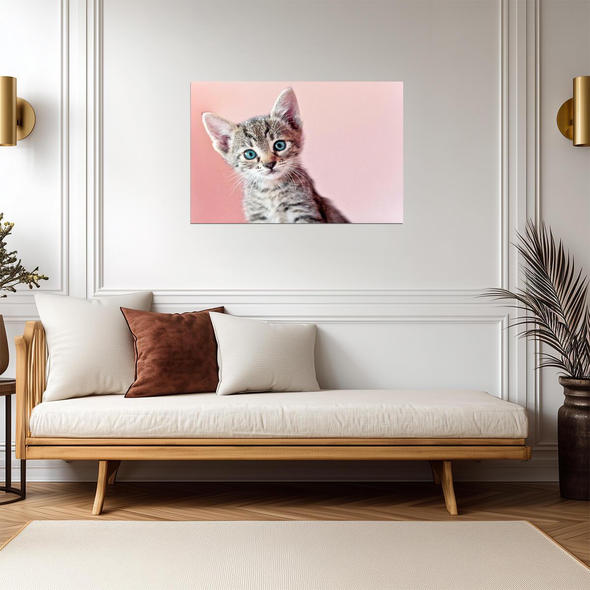 Cute Baby Kitten Posing for the Camera | Pet Photography Portrait | Cat Poster - Photography Poster