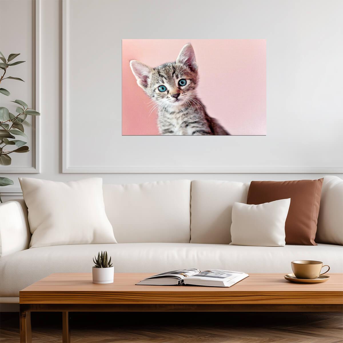 Cute Baby Kitten Posing for the Camera | Pet Photography Portrait | Cat Poster - Photography Poster