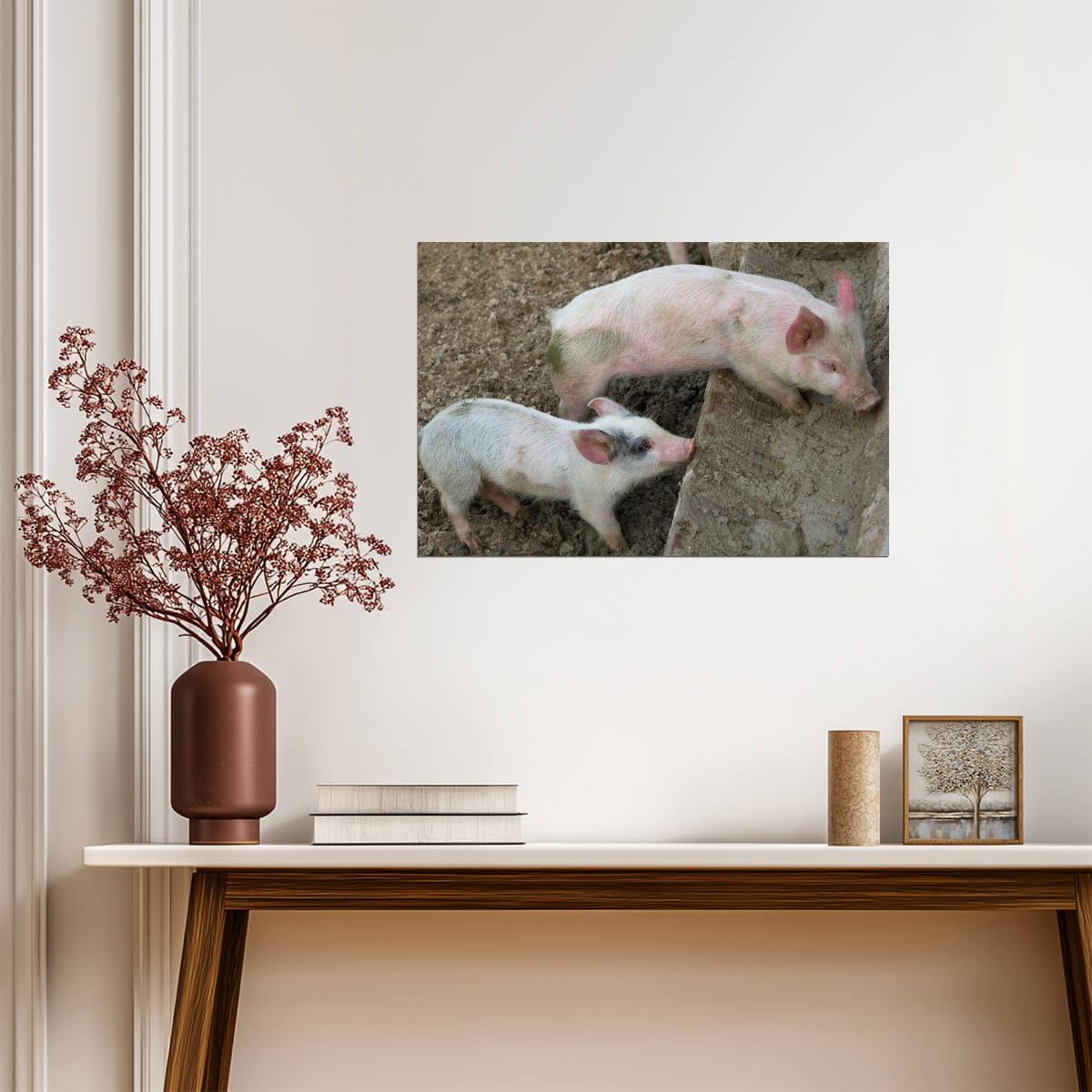 Pair of Playful Cute Little Piglets | Farm Animal Photography | Pig Poster - Photography Poster