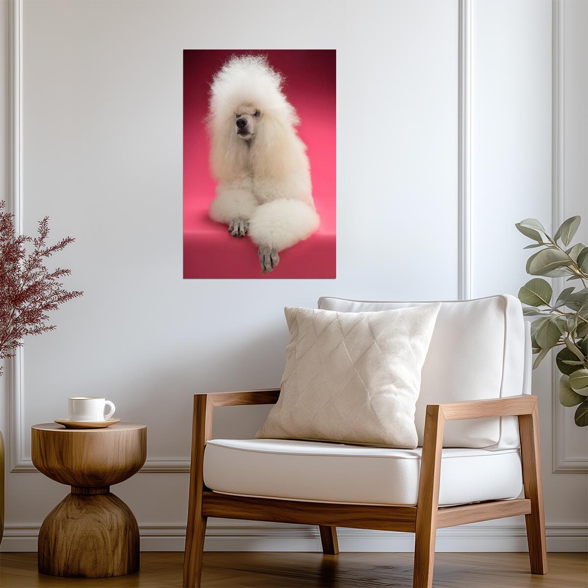 Fluffy White Standard Poodle | Dog Portrait Photography | Pet Poster - Photography Poster