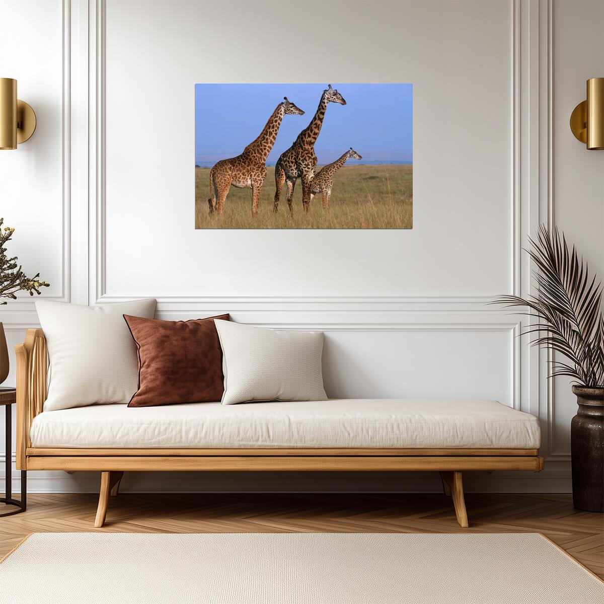 Three Giraffes in the Masai Mara Grassland | African Safari Photography | Wildlife Poster - Photography Poster