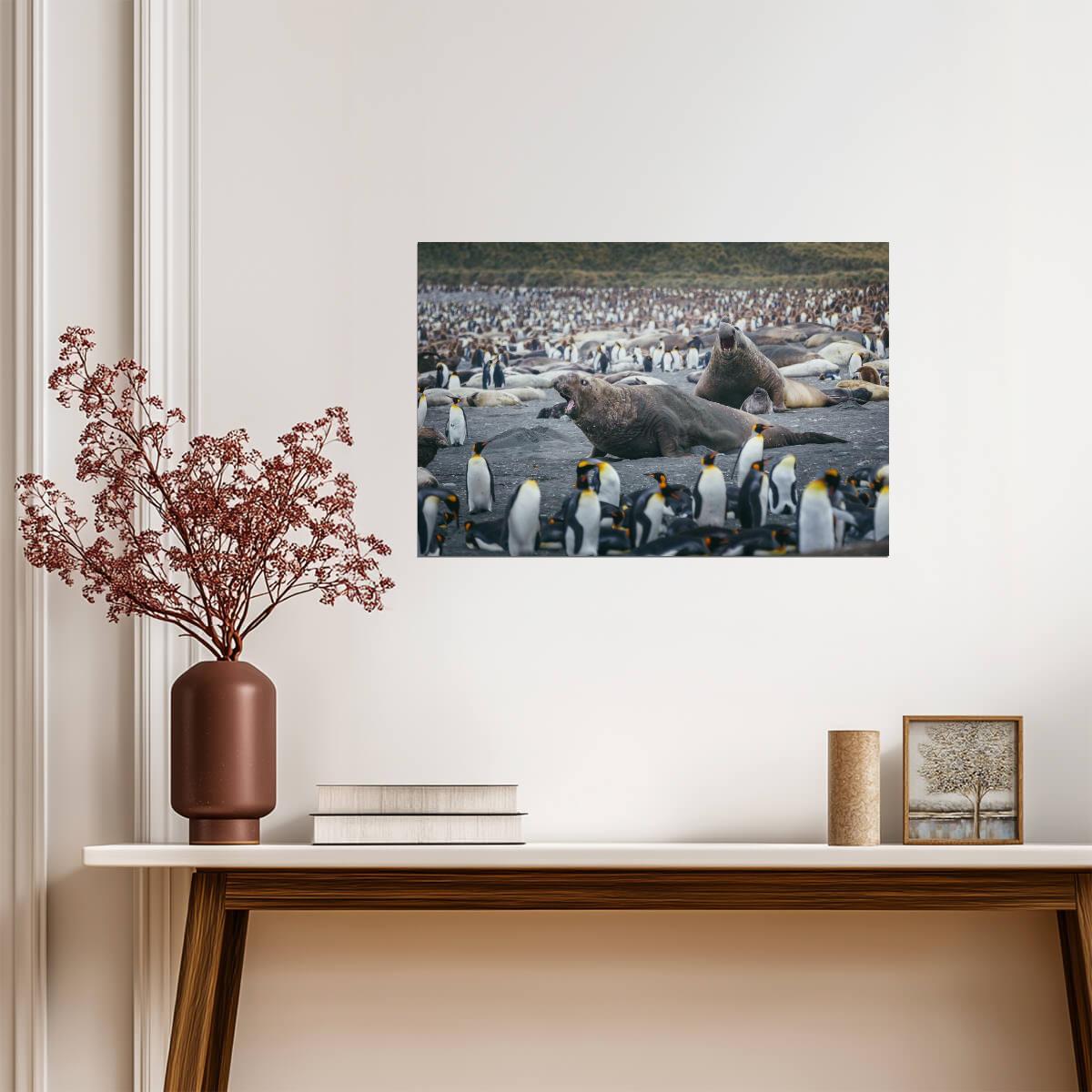 Elephant Seals Fighting Surrounded by Penguins | Wildlife Photography | Nature Poster - Photography Poster