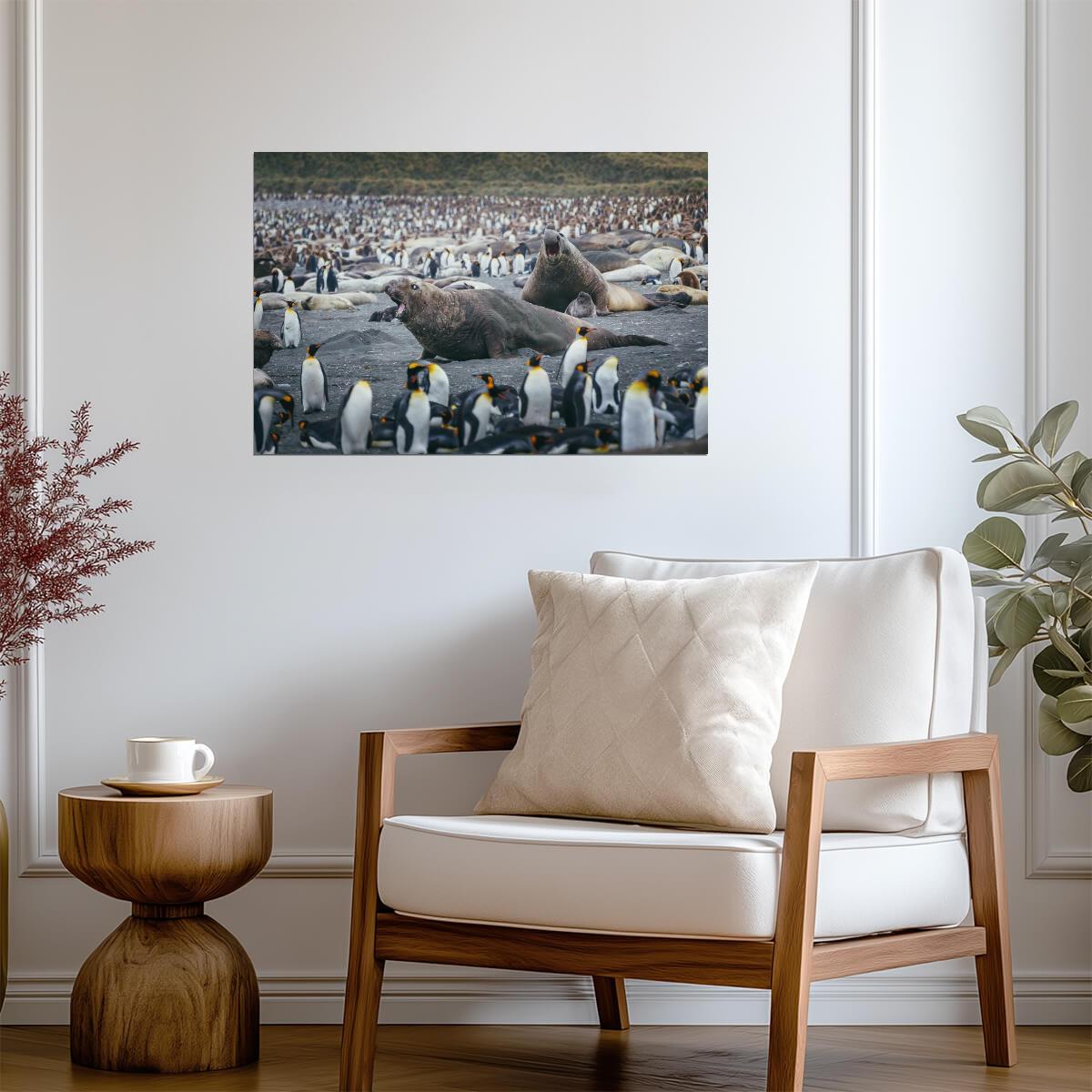 Elephant Seals Fighting Surrounded by Penguins | Wildlife Photography | Nature Poster - Photography Poster