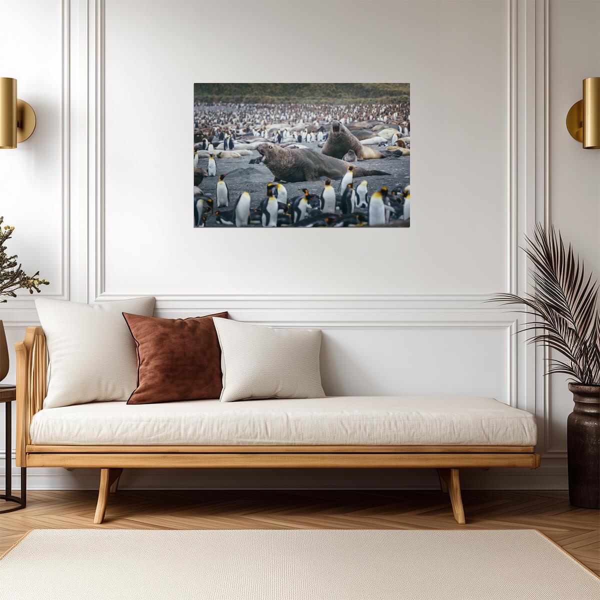 Elephant Seals Fighting Surrounded by Penguins | Wildlife Photography | Nature Poster - Photography Poster