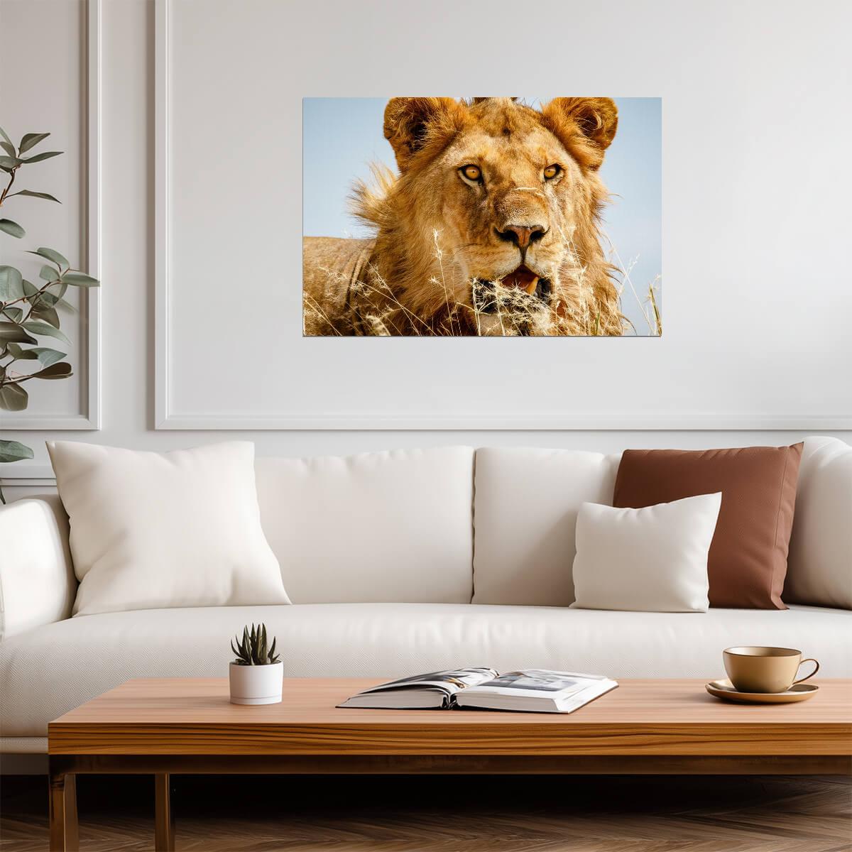 Lion Overlooking the Savanna at Sunset | African Wildlife Photography | Safari Poster - Photography Poster