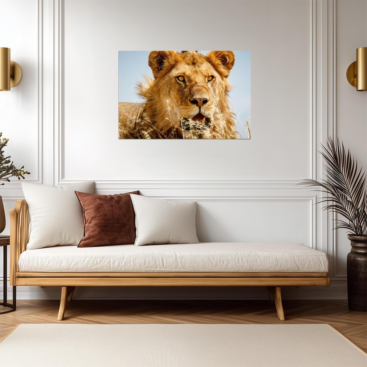 Lion Overlooking the Savanna at Sunset | African Wildlife Photography | Safari Poster - Photography Poster