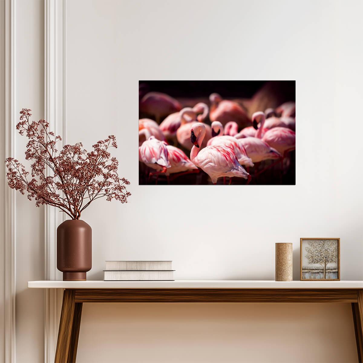 Pink Flamingos at the Memphis Zoo | Tennessee Wildlife Photography | Bird Poster - Photography Poster
