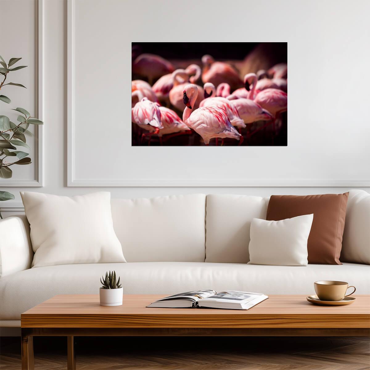 Pink Flamingos at the Memphis Zoo | Tennessee Wildlife Photography | Bird Poster - Photography Poster