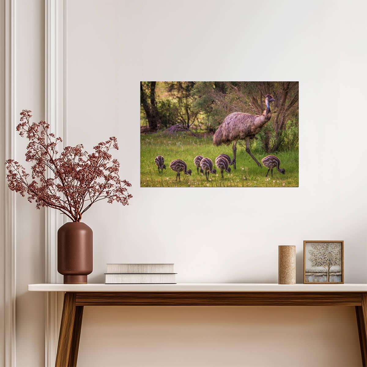Emu with Seven Babies | Australian Wildlife Photography | Bird Poster - Photography Poster
