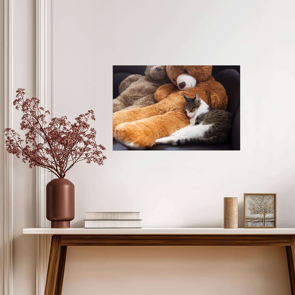 Sweet Cat Sleeping Near a Teddy Bear | Cute Animal Photography | Pet Poster - Photography Poster