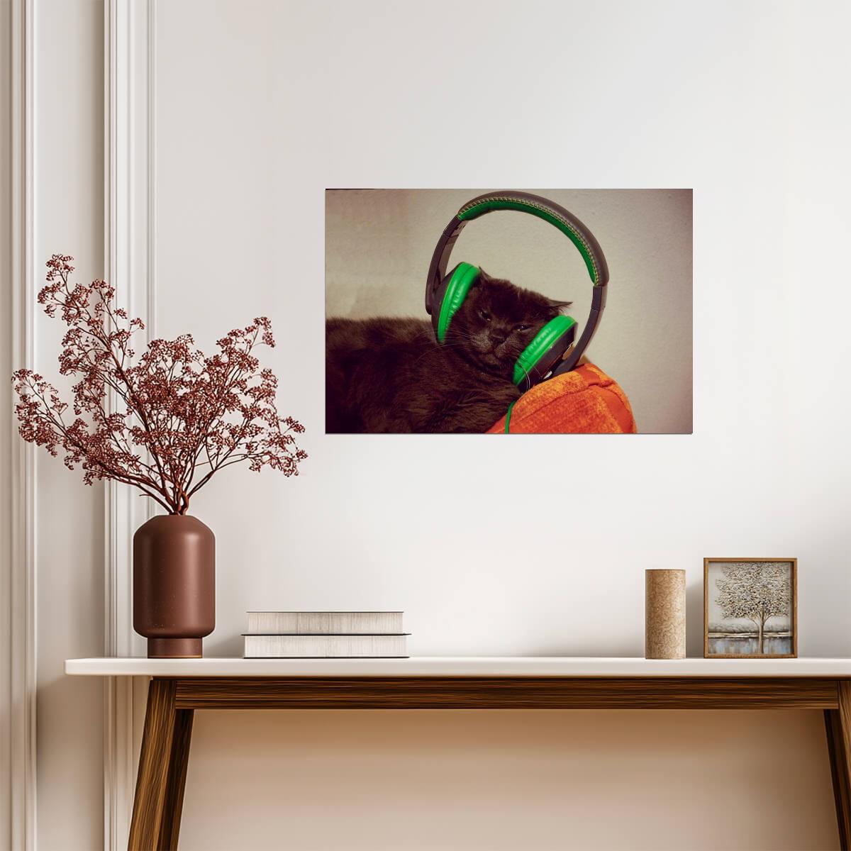 Cool Cat with Headphones | Funny Animal Photography | Humorous Pet Poster - Photography Poster