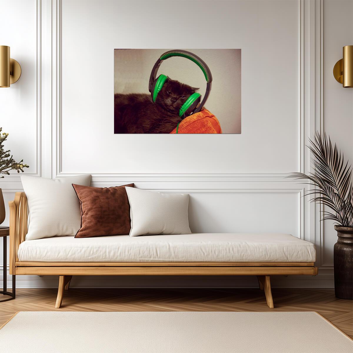 Cool Cat with Headphones | Funny Animal Photography | Humorous Pet Poster - Photography Poster