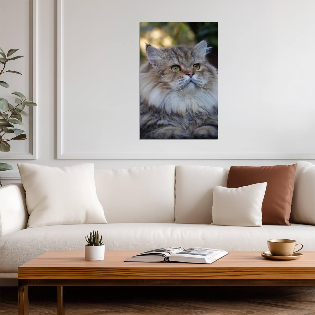 Cute Long Haired Cat Portrait | Fluffy Pet Photography | Animal Poster - Photography Poster